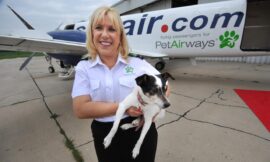Flying Your Pet on Pet Airways