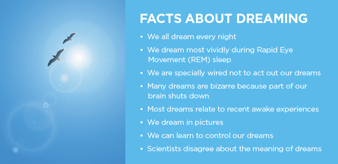 Read more about the article 10 Interesting Facts About Dreams