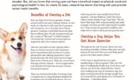 How Owning a Pet Can Boost Your Health