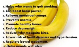 10 Facts About Bananas