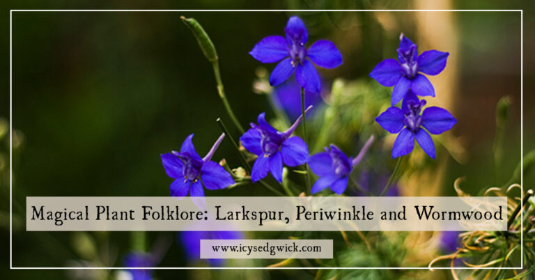 Read more about the article Myth and Folklore: Larkspur