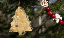 Best Bird-Friendly Holiday Decorations: Ideas to Bring the Holidays Outside and Take Care of Nature