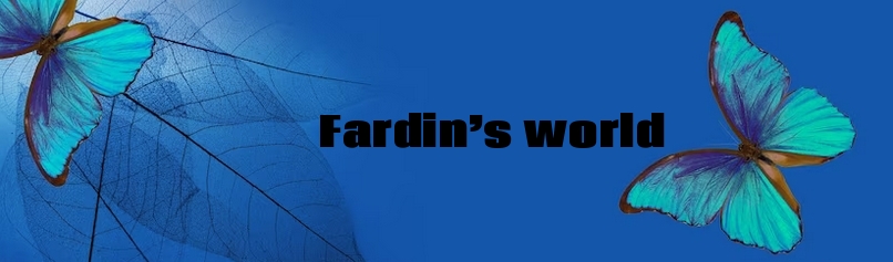 Fardin’s World